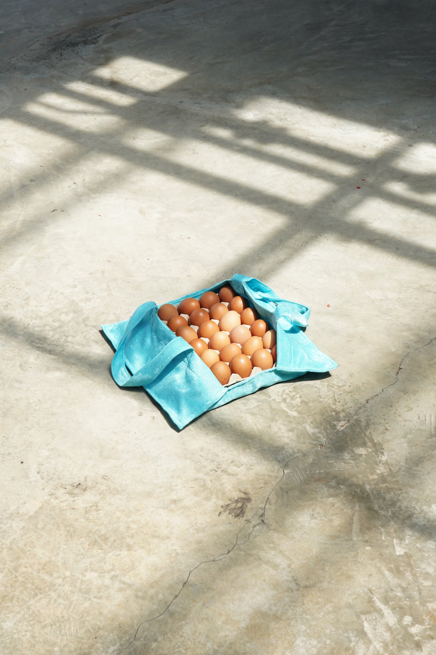 Notha Egg Carrier