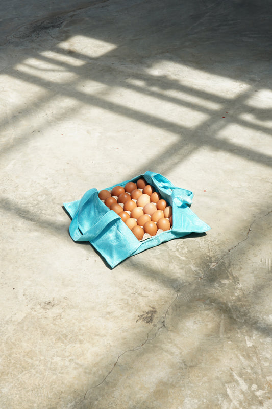 Notha Egg Carrier