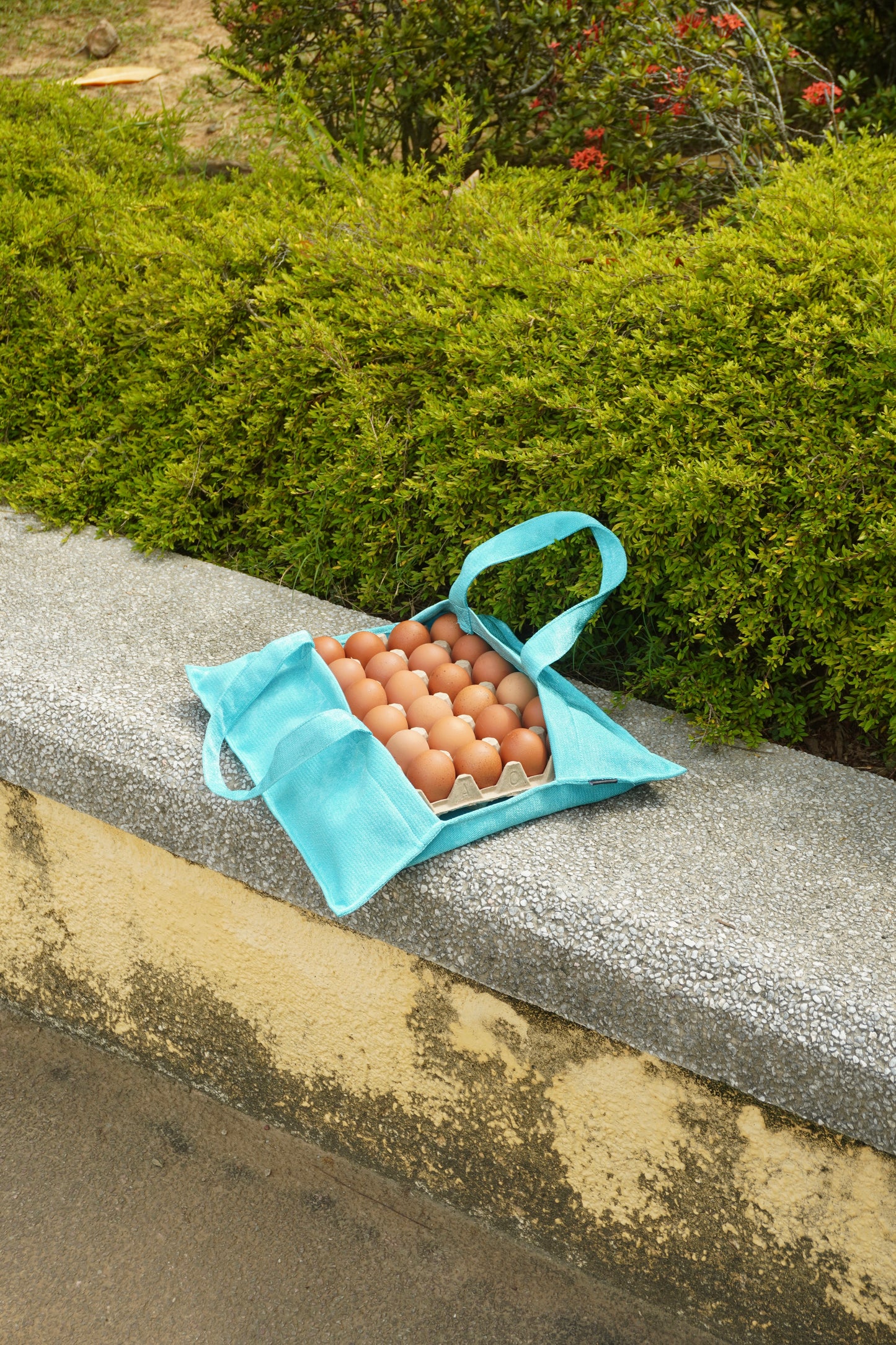 Notha Egg Carrier